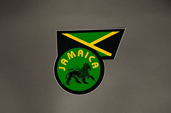 #100 Lion/Jamaika